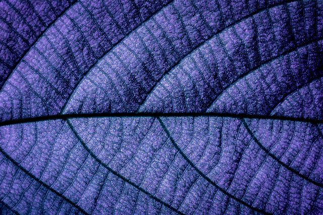 Aufpreis Bildmotive für KERA-FIT Abstrakt