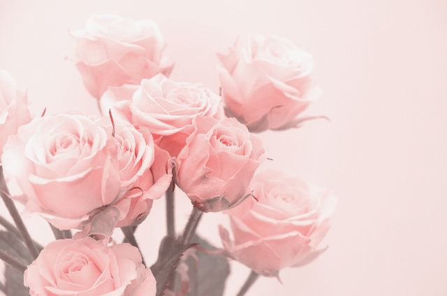 Aufpreis Bildmotive für KERA-FIT Blumen