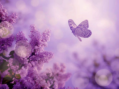 Aufpreis Bildmotive für KERA-FIT Blumen