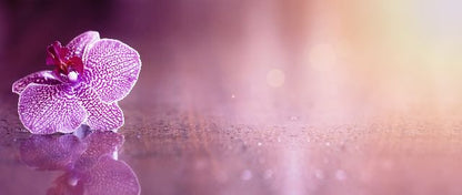 Aufpreis Bildmotive für KERA-FIT Blumen