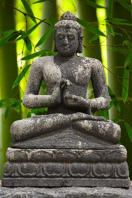 Aufpreis Glasheizkörper Bildmotive Wellness