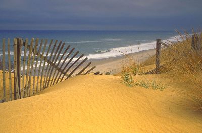 Aufpreis Glasheizkörper Bildmotive Natur