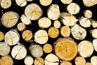 Aufpreis Glasheizkörper Bildmotive Natur