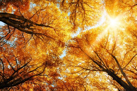 Aufpreis Bildmotive für KERA-FIT Landschaft