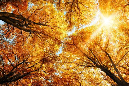 Aufpreis Bildmotive für KERA-FIT Landschaft