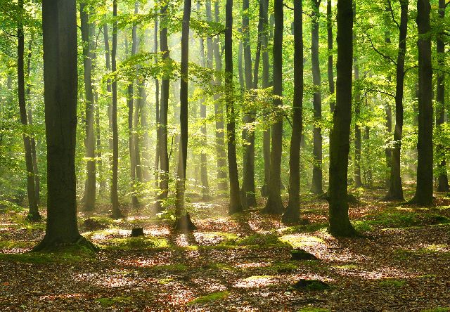 Aufpreis Bildmotive für KERA-FIT Landschaft