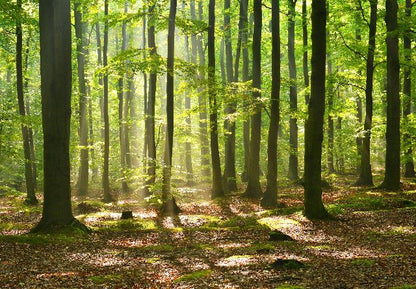 Aufpreis Bildmotive für KERA-FIT Landschaft