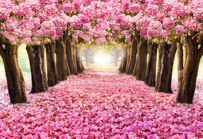 Aufpreis Bildmotive für KERA-FIT Landschaft