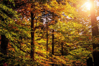 Aufpreis Bildmotive für KERA-FIT Landschaft