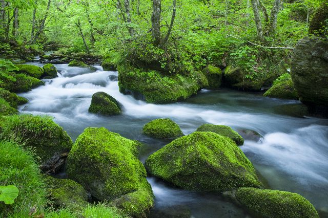 Aufpreis Bildmotive für KERA-FIT Landschaft