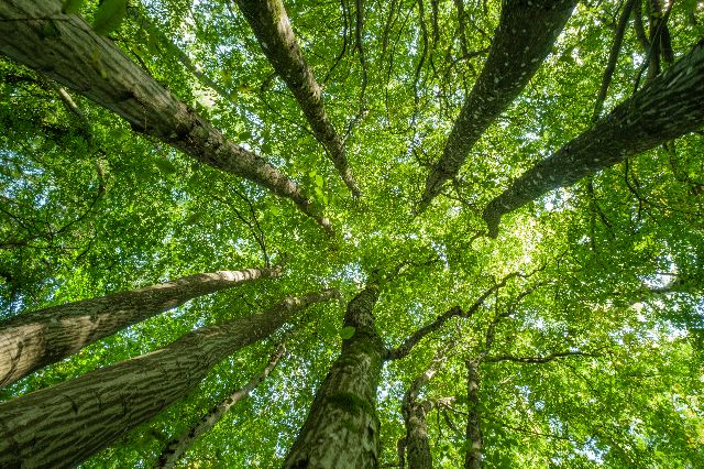 Aufpreis Bildmotive für KERA-FIT Landschaft