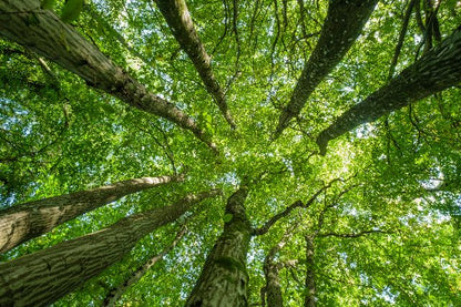 Aufpreis Bildmotive für KERA-FIT Landschaft