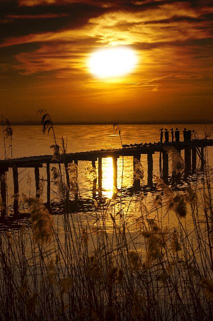 Aufpreis Bildmotive für KERA-FIT Landschaft