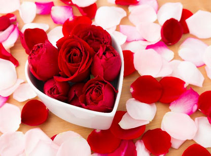 Aufpreis Bildmotive für KERA-FIT Love