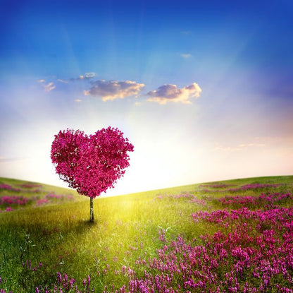 Aufpreis Bildmotive für KERA-FIT Love