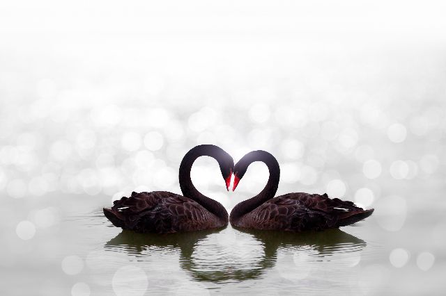 Aufpreis Bildmotive für KERA-FIT Love