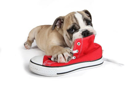 Aufpreis Bildmotive für KERA-FIT Puppy