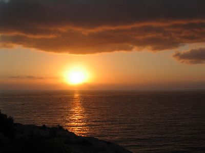 Aufpreis Glasheizkörper Bildmotive Natur