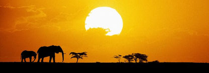 Aufpreis Bildmotive für KERA-FIT Tiere