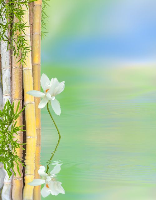 Aufpreis Bildmotive für KERA-FIT Wellness